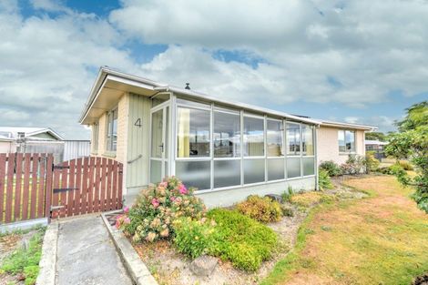 Photo of property in 4 Thames Street, Gore, 9710