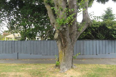 Photo of property in 149 Mersey Street, St Albans, Christchurch, 8014