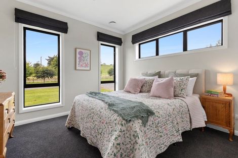 Photo of property in 176 Somerville Road, Tapapa, Tirau, 3485