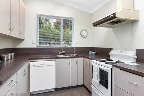Photo of property in 41b Melrose Street, Roslyn, Dunedin, 9010
