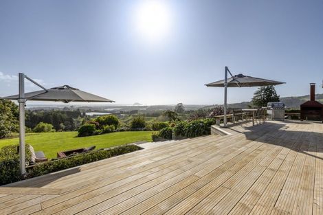 Photo of property in 252 Whakamarama Road, Whakamarama, Tauranga, 3179