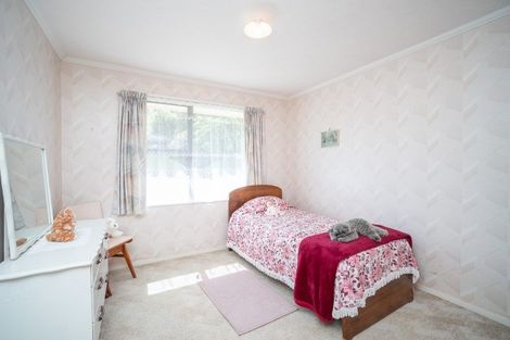 Photo of property in 100 Monrad Street, Highbury, Palmerston North, 4412