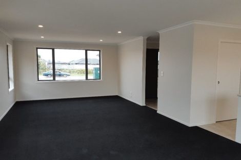 Photo of property in 224 Borman Road, Rototuna North, Hamilton, 3210