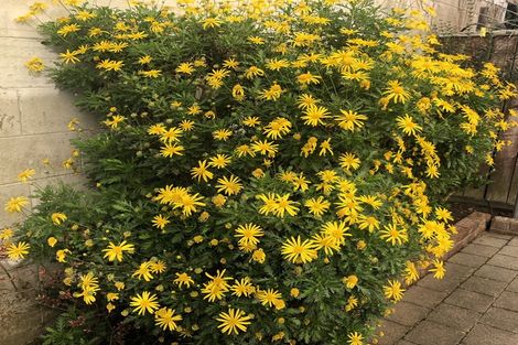 Photo of property in 3/26 Witako Street, Epuni, Lower Hutt, 5011