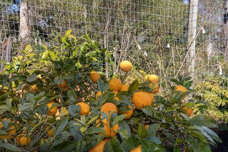 Photo of property in 11a Gregson Drive, Huntly, 3700