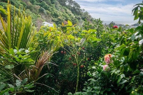 Photo of property in 57 Reuben Avenue, Brooklyn, Wellington, 6021