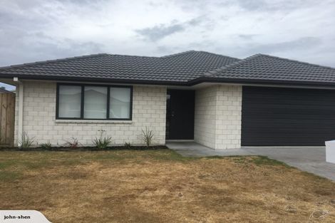 Photo of property in 41 Kohekohe Road, Papamoa Beach, Papamoa, 3118
