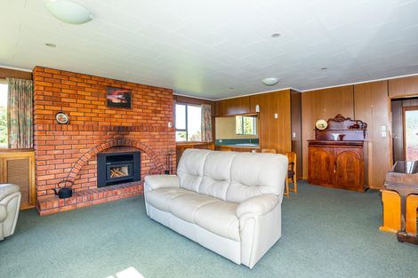 Photo of property in 24 Forest Road, Geraldine, 7930