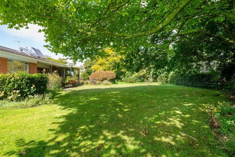 Photo of property in 119 Ringer Road, Tauwhare, Hamilton, 3287