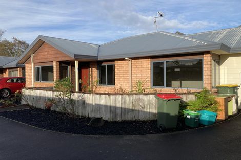 Photo of property in 213b Massey Street, Frankton, Hamilton, 3204