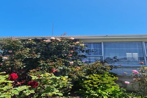 Photo of property in 13a Helena Street, Forbury, Dunedin, 9012