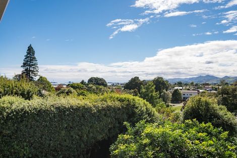 Photo of property in 19 Shearer Terrace, Richmond, 7020