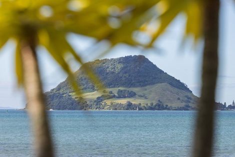 Photo of property in 3/104 Harbour Drive, Otumoetai, Tauranga, 3110