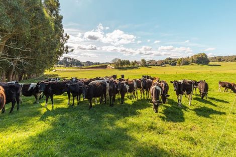 Photo of property in 154 Kaharoa Road, Hamurana, Rotorua, 3096