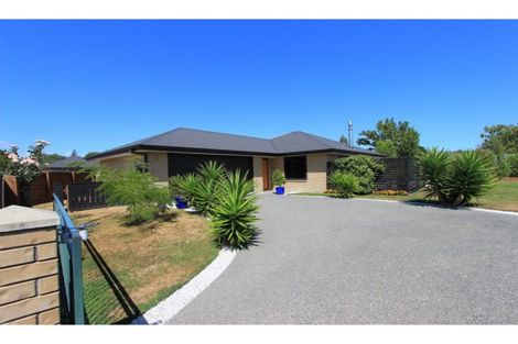 Photo of property in 14 Mcisaac Place, Renwick, 7204