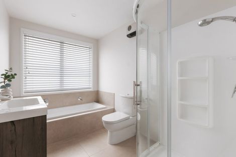 Photo of property in 45 Saint Pauls Drive, Brookfield, Tauranga, 3110