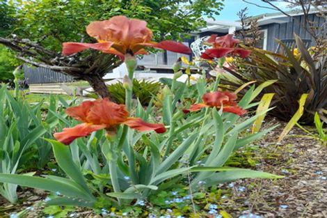 Photo of property in 969 Kaipara Flats Road, Kaipara Flats, Warkworth, 0984