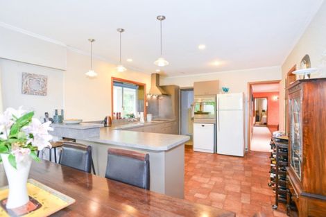 Photo of property in 309 Collinge Road, Mayfair, Hastings, 4122