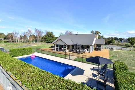 Photo of property in 87e Kay Road, Flagstaff, Hamilton, 3281