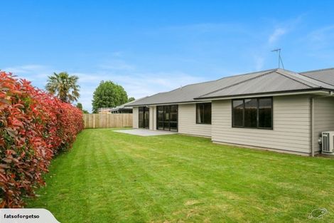 Photo of property in 20 Maple Place, Matamata, 3400