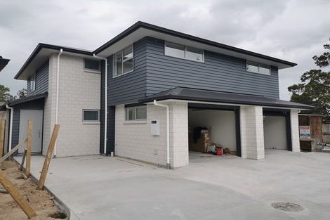 Photo of property in 20a Sare Crescent, Fairfield, Hamilton, 3214