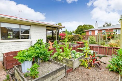 Photo of property in 16a King Street, Feilding, 4702