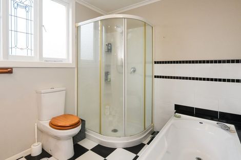 Photo of property in 151 Ruahine Street, Roslyn, Palmerston North, 4414