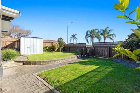 Photo of property in 8a Lincoln Terrace, Gate Pa, Tauranga, 3112