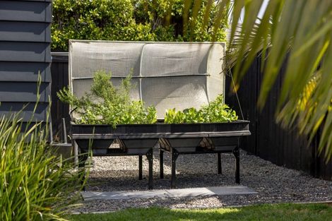 Photo of property in 15 Cassinia Close, Papamoa Beach, Papamoa, 3118