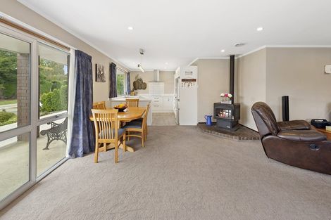 Photo of property in 96 Middle Street, Pukerau, Gore, 9772