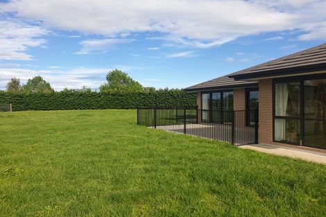 Photo of property in 468 Mystery Creek Road, Ohaupo, 3881