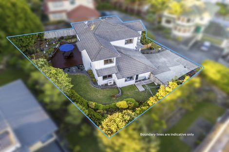 Photo of property in 17 Virginia Street, Henderson, Auckland, 0612