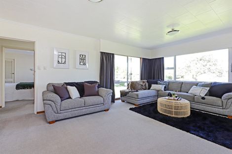 Photo of property in 20 Southwark Avenue, Tamatea, Napier, 4112