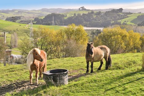 Photo of property in 6b Mountain Road, Kaiwaka, Maungaturoto, 0587