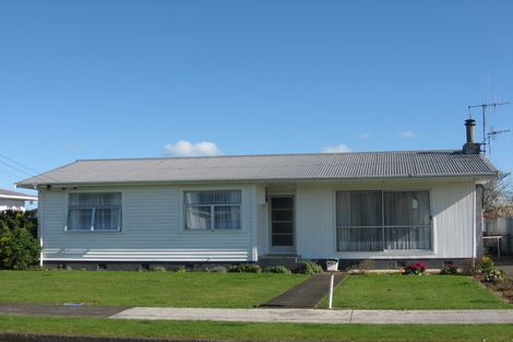 Photo of property in 5 Ferguson Street, Levin, 5510