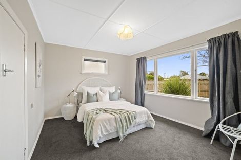 Photo of property in 19 Hobson Street, Levin, 5510