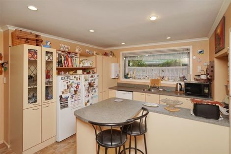 Photo of property in 43 Bordesley Street, Phillipstown, Christchurch, 8011