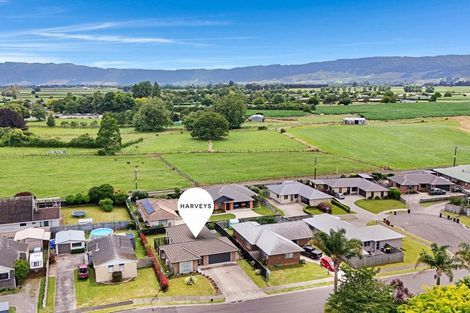 Photo of property in 28 Nikau Place, Matamata, 3400