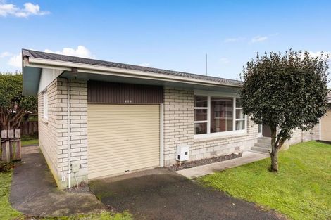 Photo of property in 163 Clarkin Road, Fairfield, Hamilton, 3214