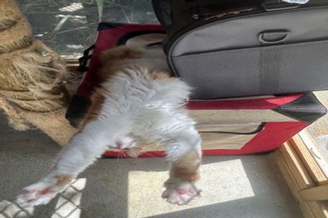 Photo of property in 105 Kapiro Road, Kerikeri, 0294