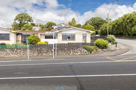 Photo of property in 345 Devon Street West, New Plymouth, 4310