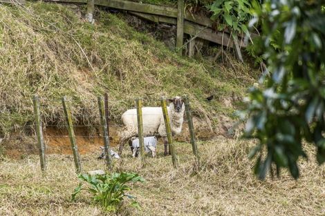 Photo of property in 16a Russell Place, Brookfield, Tauranga, 3110