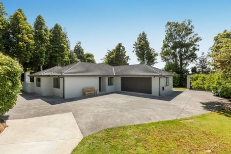 Photo of property in 7c Puka Place, Inglewood, 4330