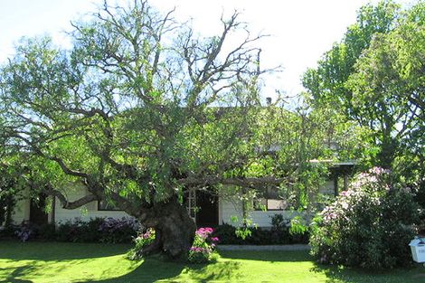 Photo of property in 113 Clifford Street, Whataupoko, Gisborne, 4010