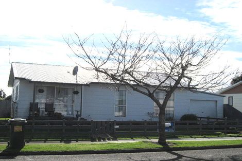 Photo of property in 9 Guy Avenue, Levin, 5510