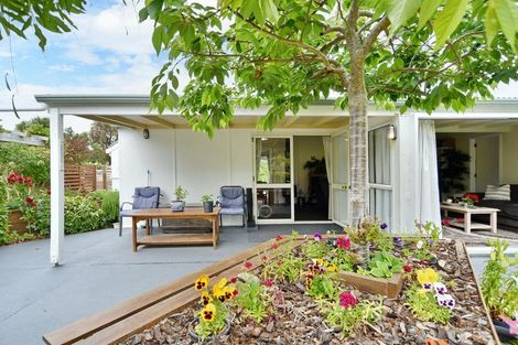 Photo of property in 28 Grierson Avenue, Amberley, 7481