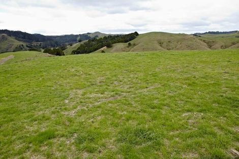 Photo of property in 43 Haul Road, Tahekeroa, Kaukapakapa, 0873