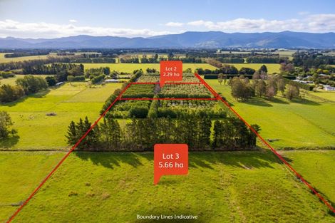 Photo of property in 179 Bidwills Cutting Road, Morison Bush, Greytown, 5794