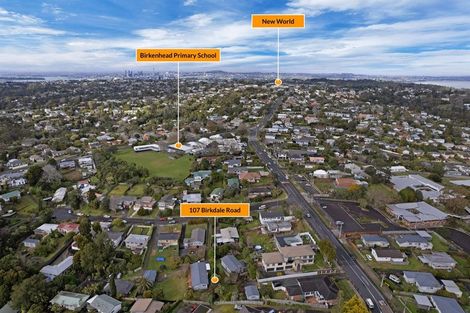 Photo of property in 107 Birkdale Road, Birkdale, Auckland, 0626