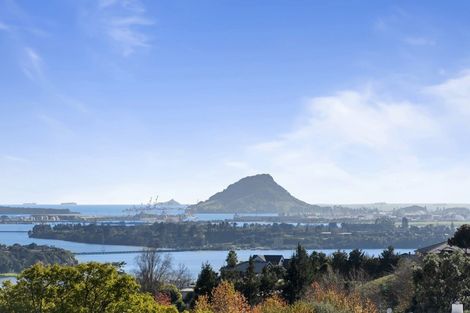 Photo of property in 17 Holcombrooke Lane, Welcome Bay, Tauranga, 3175